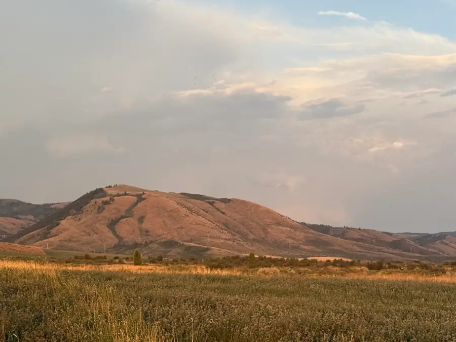 Blk 2 Lot 4 Barley Meadows, Soda Springs, ID 83276 - #2