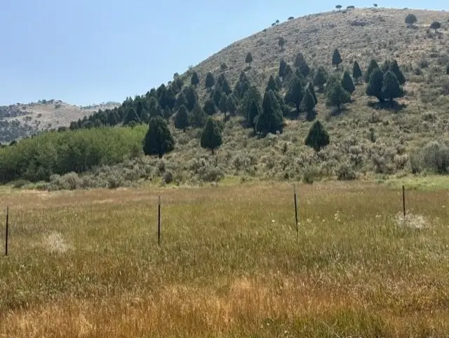 1961 Swenson Valley Rd, Bancroft, ID 83217 - #2