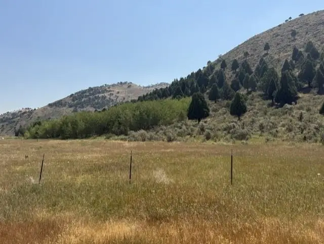 1961 Swenson Valley Rd, Bancroft, ID 83217 - #3