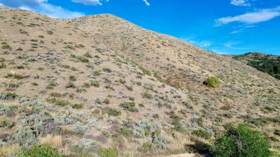 TBD Larkspur, Pocatello, ID 83204 - #3
