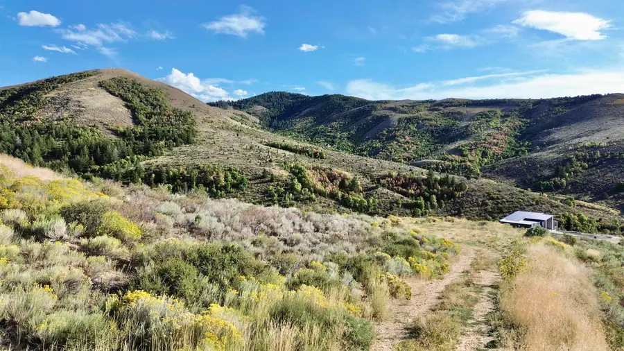 TBD Larkspur, Pocatello, ID 83204 - #3