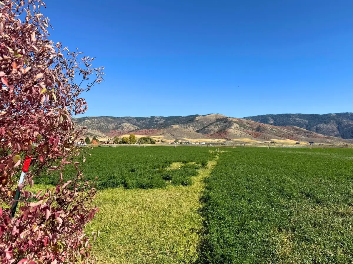 TBD E Diane Drive, Grace, ID 83241 - #1