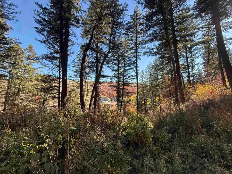 5139 Moonlight mine, Pocatello, ID 83201 - #3