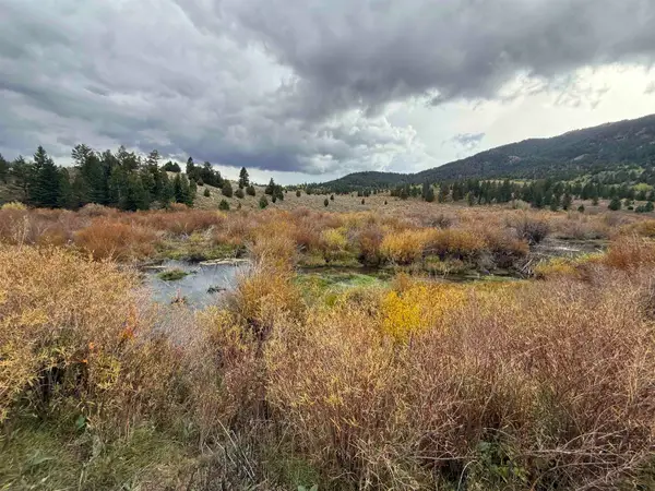 000 Cow Camp dr, Bancroft, ID 83217