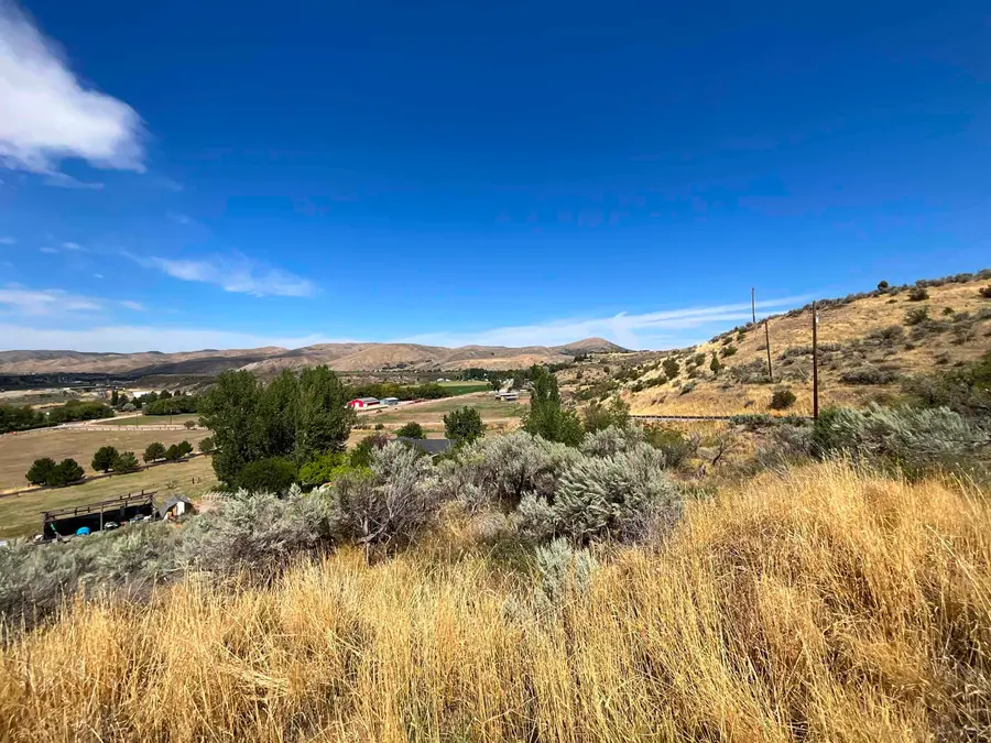 TBD Pidcock, Inkom, ID 83245 - #3