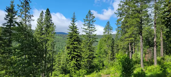 NNA Snowcat Lane Tract 4, Bonners Ferry, ID 83805