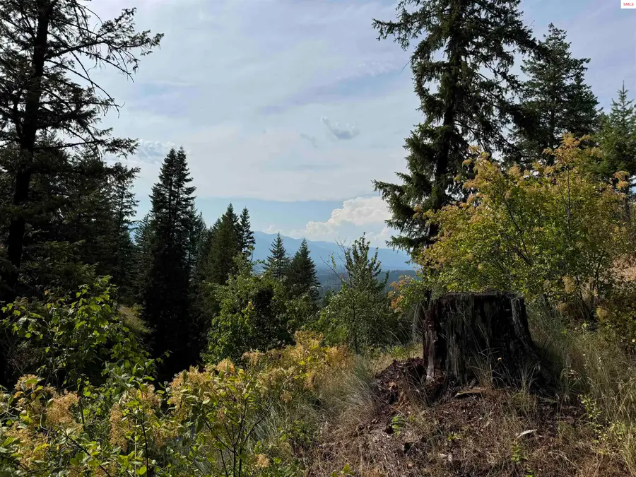 Lot E7 Green Monarch Lane, Sandpoint, ID 83864 - Image #2