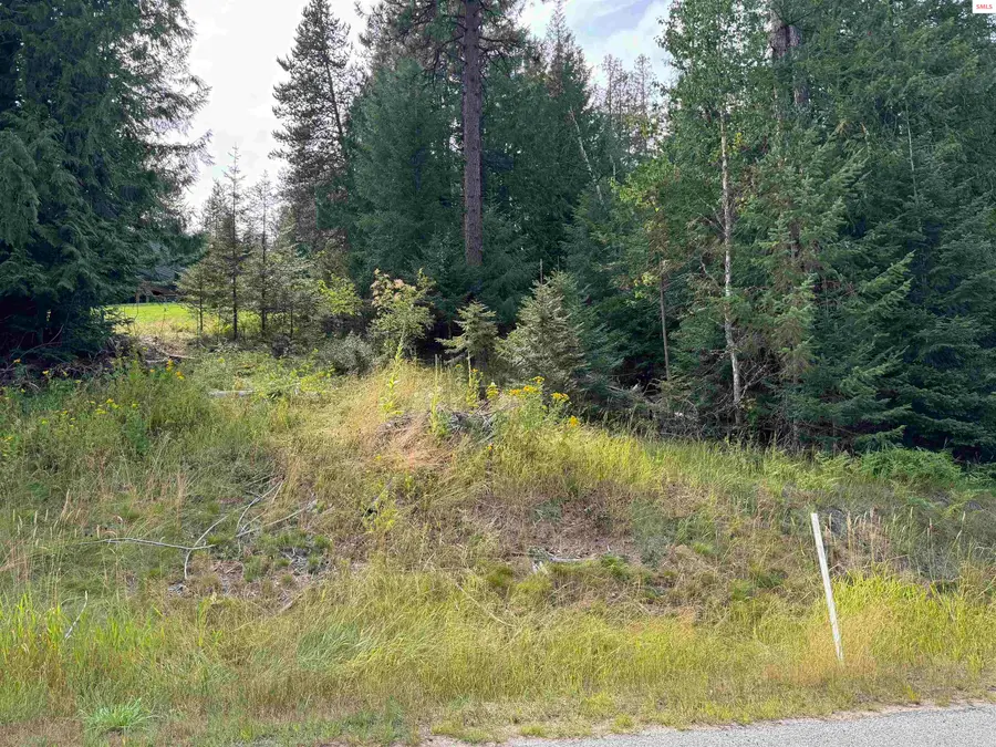 Lot E7 Green Monarch Lane, Sandpoint, ID 83864 - Image #3