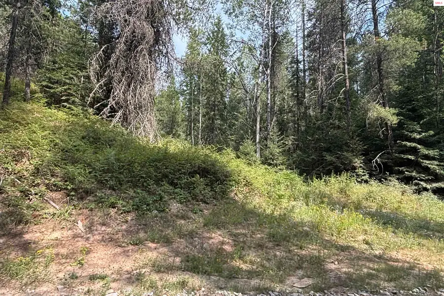 Lot 14 Ridge Way, Sandpoint, ID 83864 - Image #2