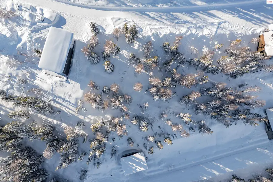 375 Blizzard Dr, Sandpoint, ID 83864 - #2