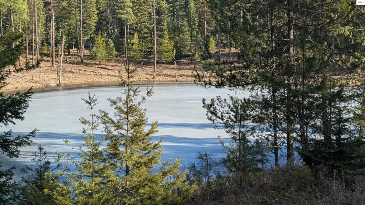 53396 Highway 95, Bonners Ferry, ID 83805 - #1