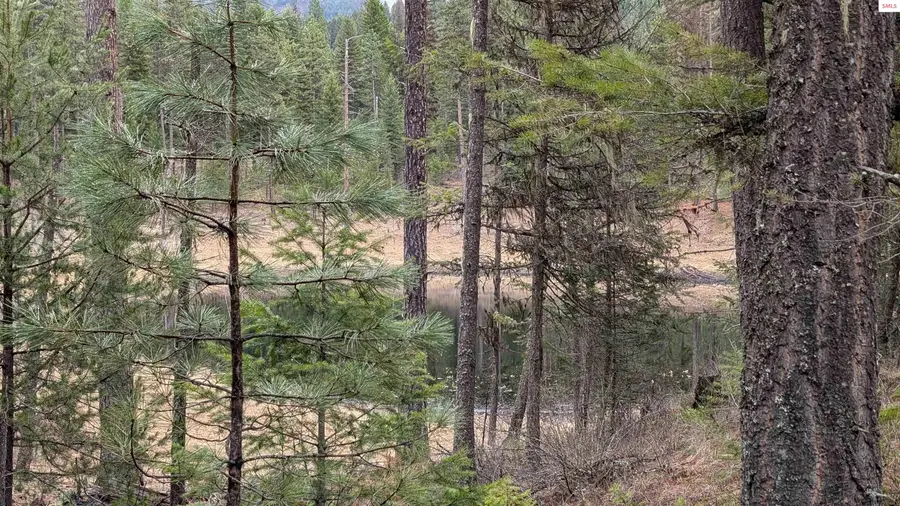 53396 Highway 95, Bonners Ferry, ID 83805 - #3