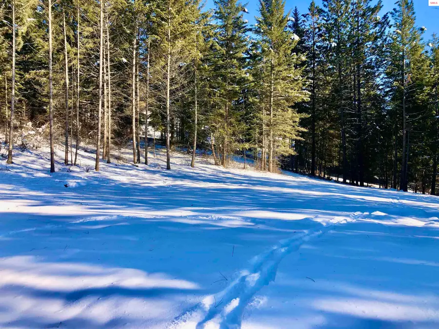 170 Wood Duck Lane, Bonners Ferry, ID 83805 - Image #3