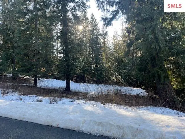 NNA D7 S White Cloud Drive, Sandpoint, ID 83864 - Image #1