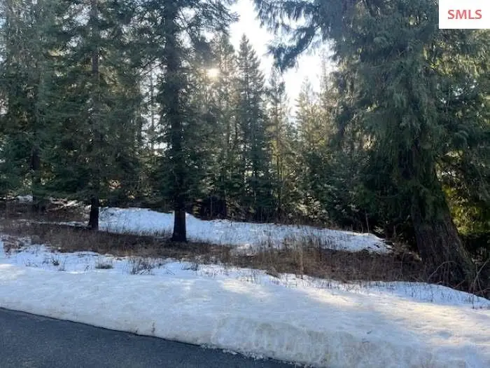 NNA D7 S White Cloud Drive, Sandpoint, ID 83864 - Image #2