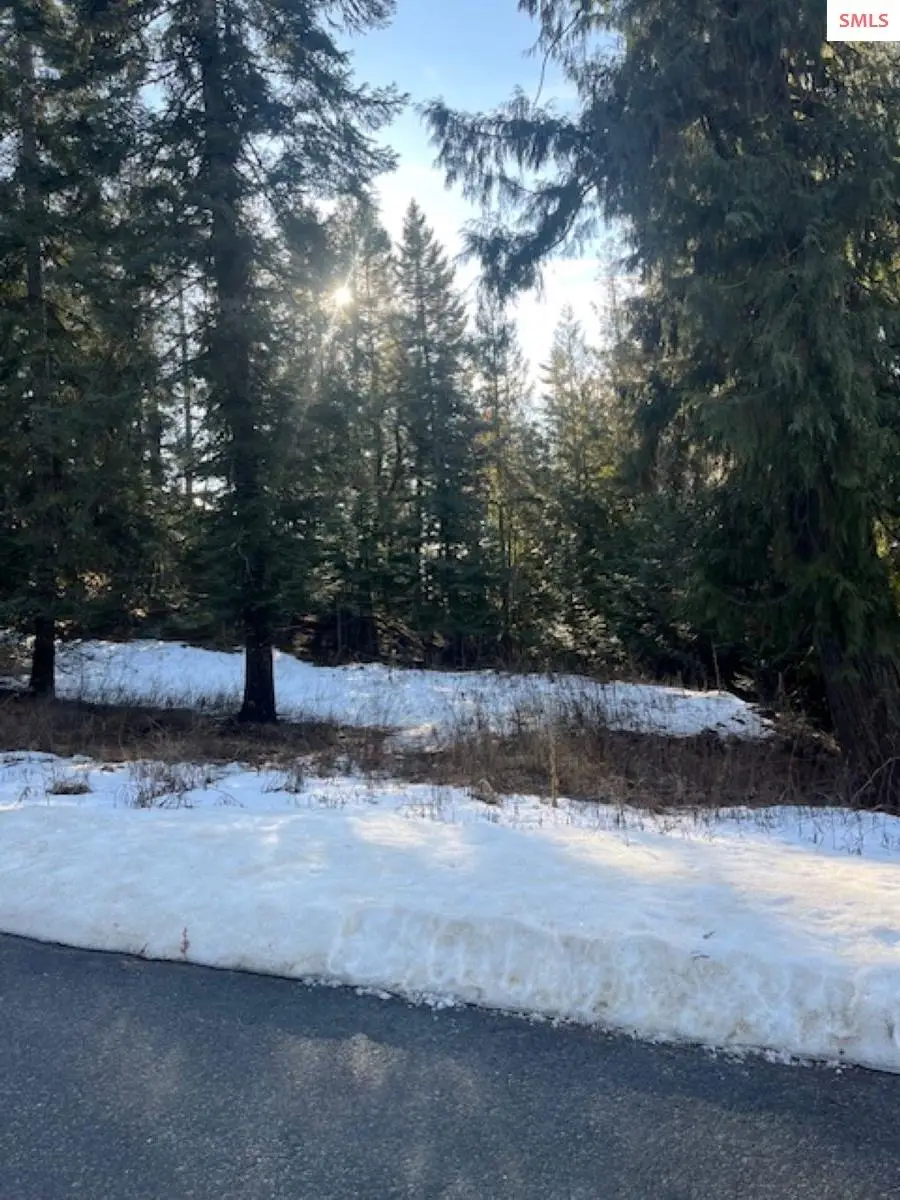 NNA D7 S White Cloud Drive, Sandpoint, ID 83864 - Image #3