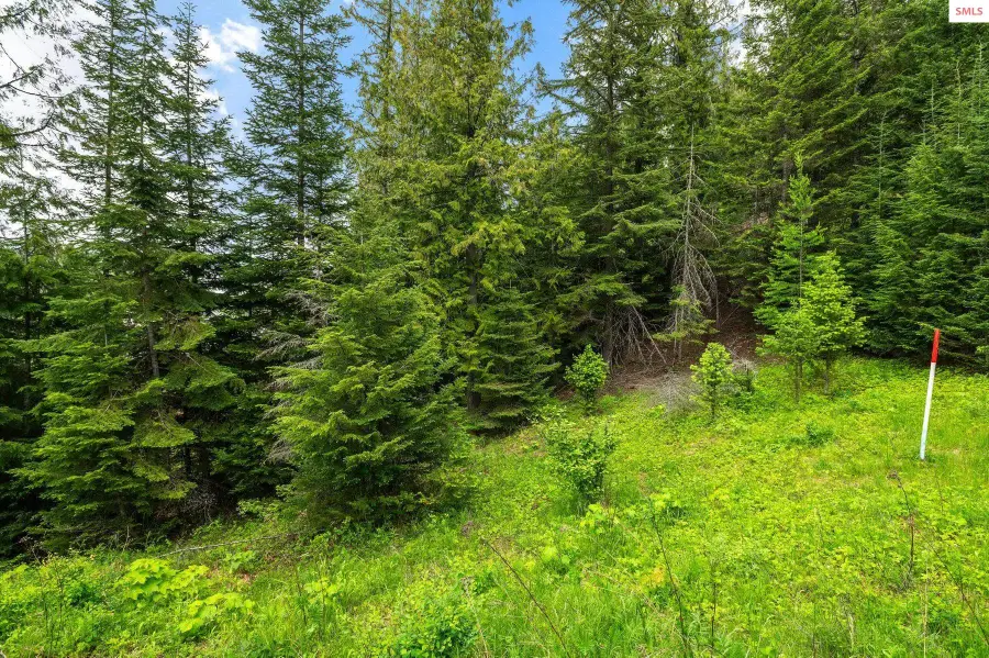 NNA B7 Wildflower Way, Sandpoint, ID 83864 - Image #3