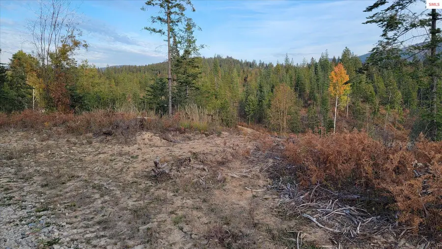 Lot 2 Pioneer Estates North, Priest River, ID 83856 - Image #2