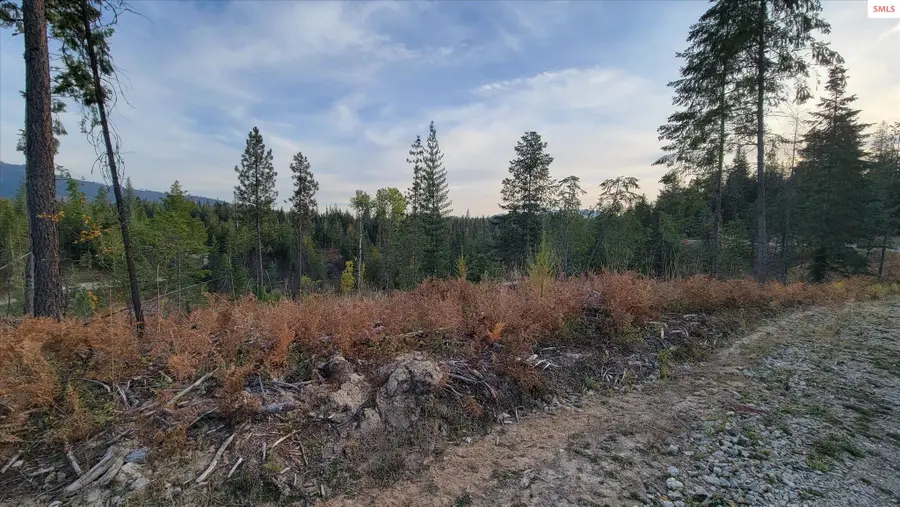 Lot 2 Pioneer Estates North, Priest River, ID 83856 - Image #3
