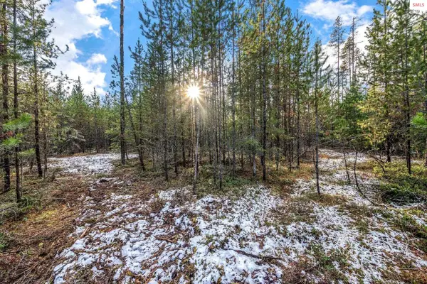 Lot 3~10.32 Ac Reeder Bay Road, Nordman, ID 83848