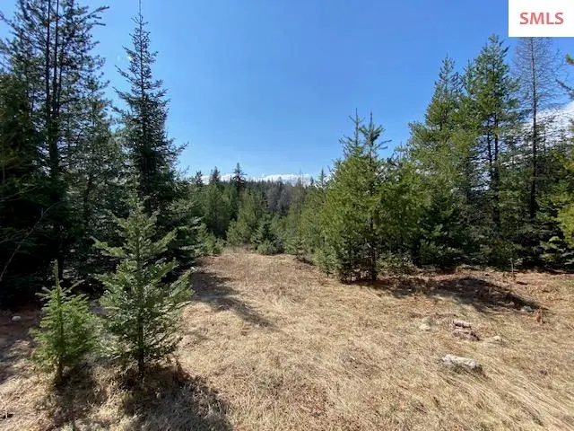 Upper Gold Cr., Sandpoint, ID 83864 - Image #1