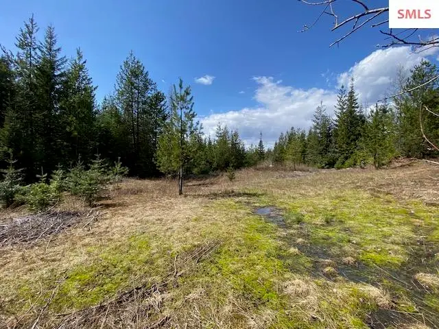 Upper Gold Cr., Sandpoint, ID 83864 - Image #2