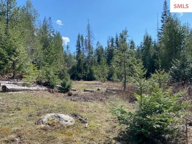 Upper Gold Cr., Sandpoint, ID 83864 - Image #3