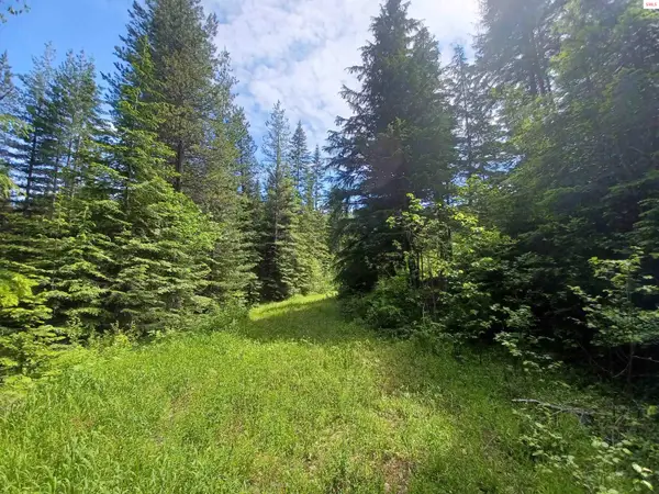 127 Coyote Trail, Priest River, ID 83856