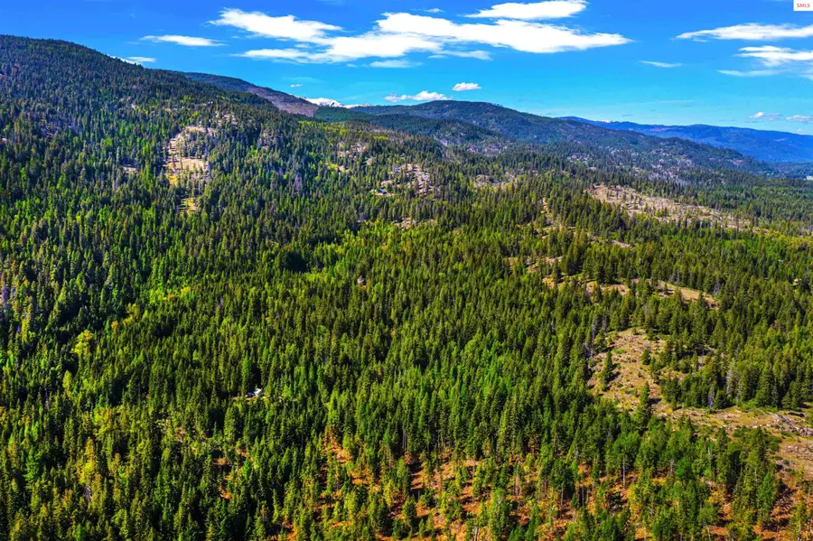 NKA Christmas Ln, Naples, ID 83847 - Image #2