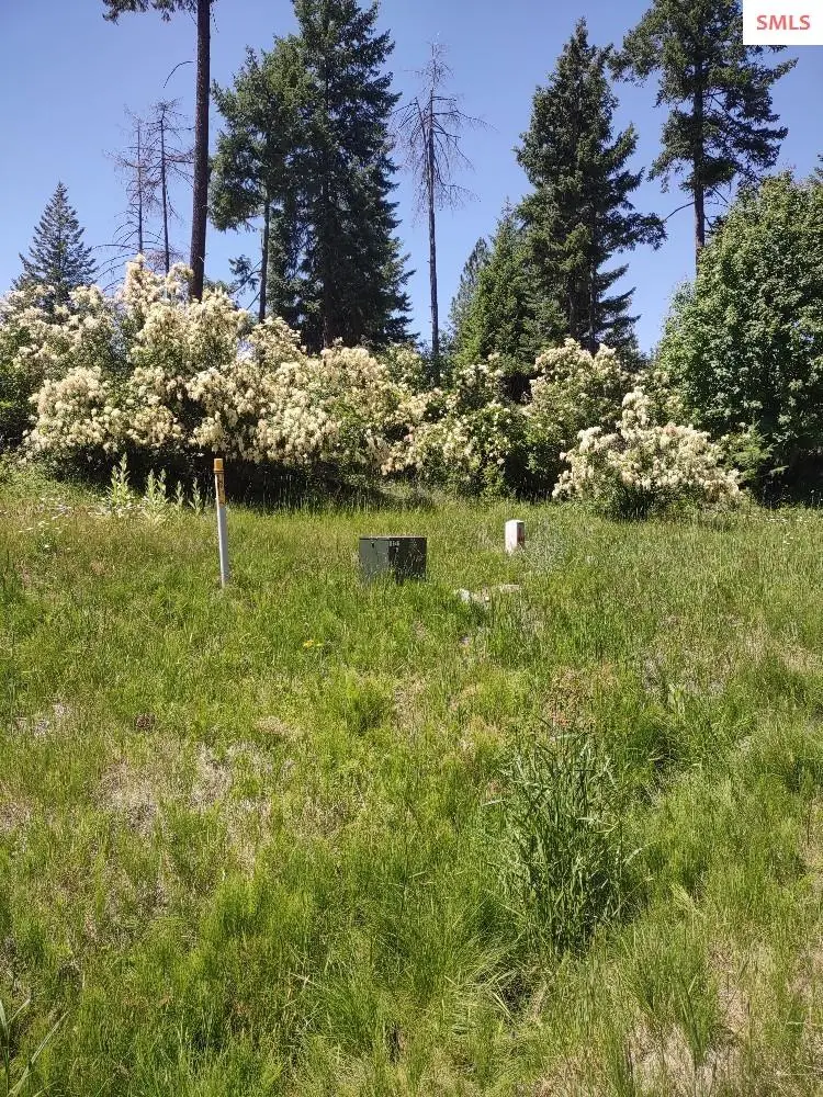 Lot 28 Wood Duck Lane, Bonners Ferry, ID 83805 - Image #3