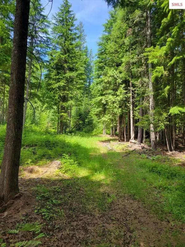 NNA Christmas Lane, Naples, ID 83847