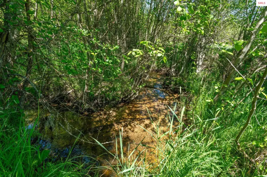 2902 Jewel Lake Road, Lot 1, Sagle, ID 83860 - Image #3