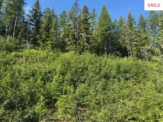 nna Avalanche, Sandpoint, ID 83864 - Image #3