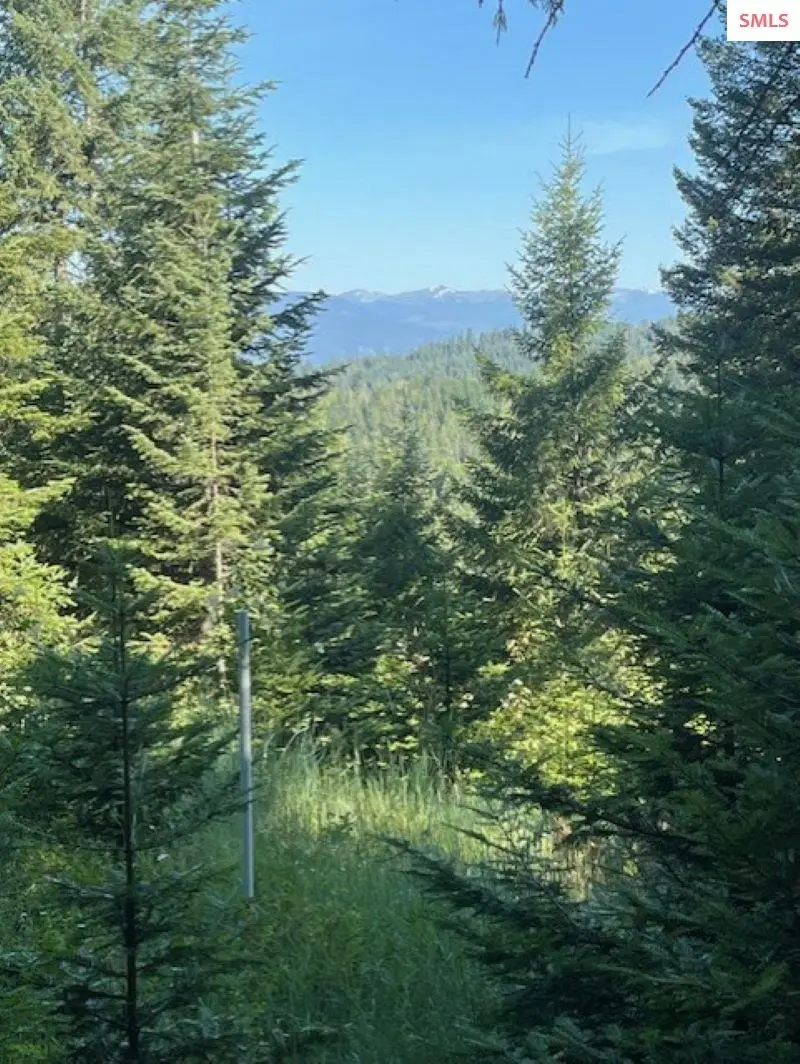 NNA C35 White Cloud Drive, Sandpoint, ID 83864 - #1