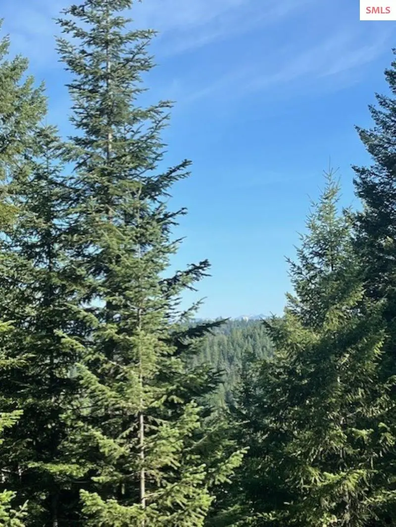 NNA C35 White Cloud Drive, Sandpoint, ID 83864 - #3