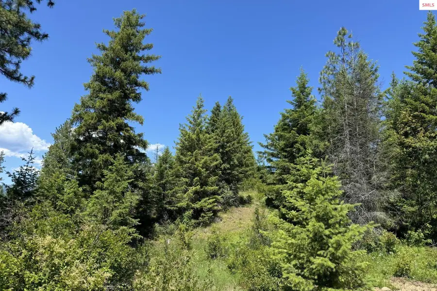 NNA Lot 2 Overlook Dr, Sagle, ID 83860 - Image #2