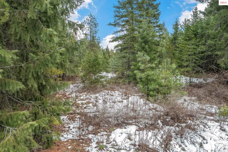 32972 N 10th Ave, Spirit Lake, ID 83869 - Image #3