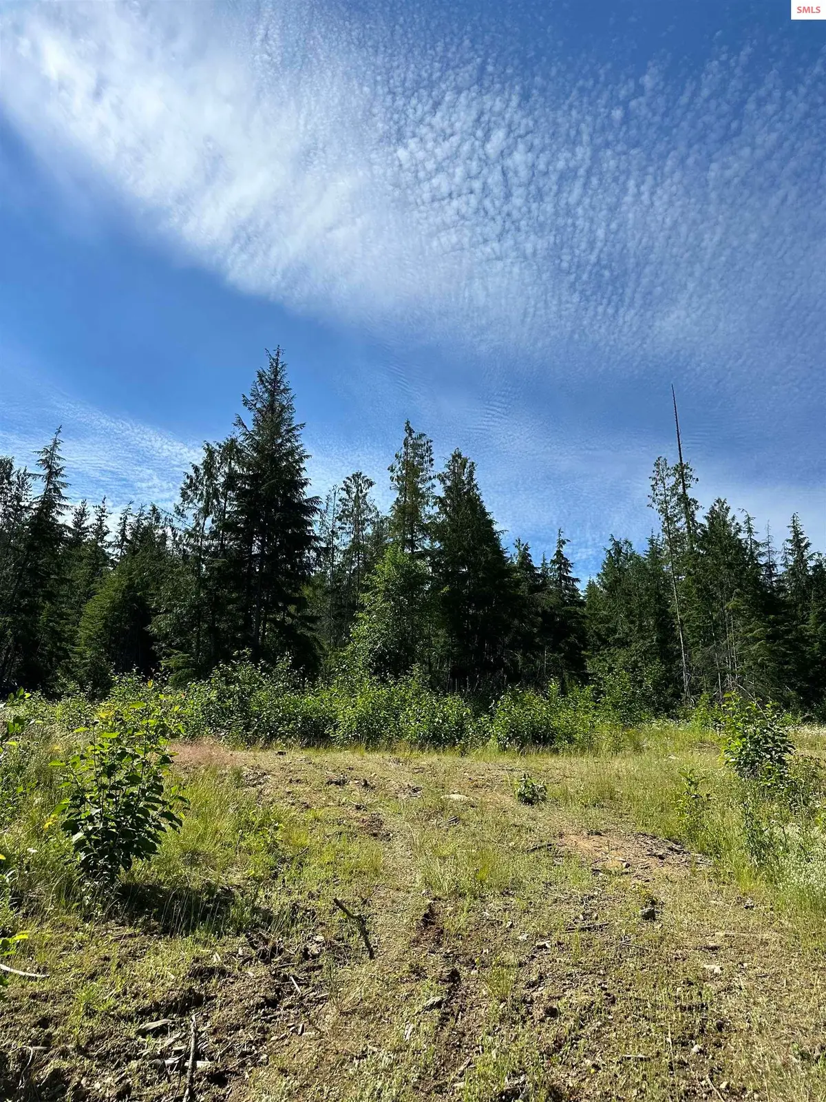 NKA Wellington Rd, Sandpoint, ID 83864 - Image #1