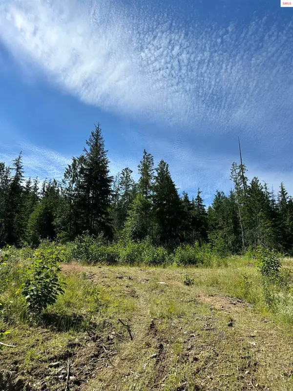 NKA Wellington Rd, Sandpoint, ID 83864