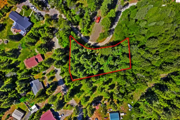 TBD Lakeview Drive, Cocolalla, ID 83813
