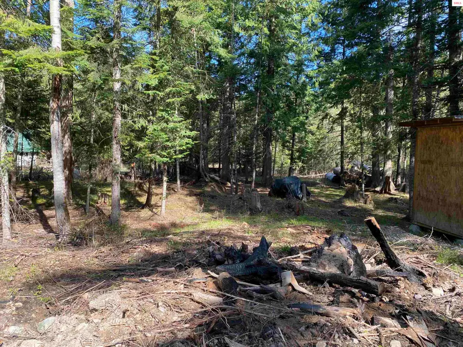 Lots 35 & 36 Dolly Varden Ave, Bayview, ID 83803 - Image #3