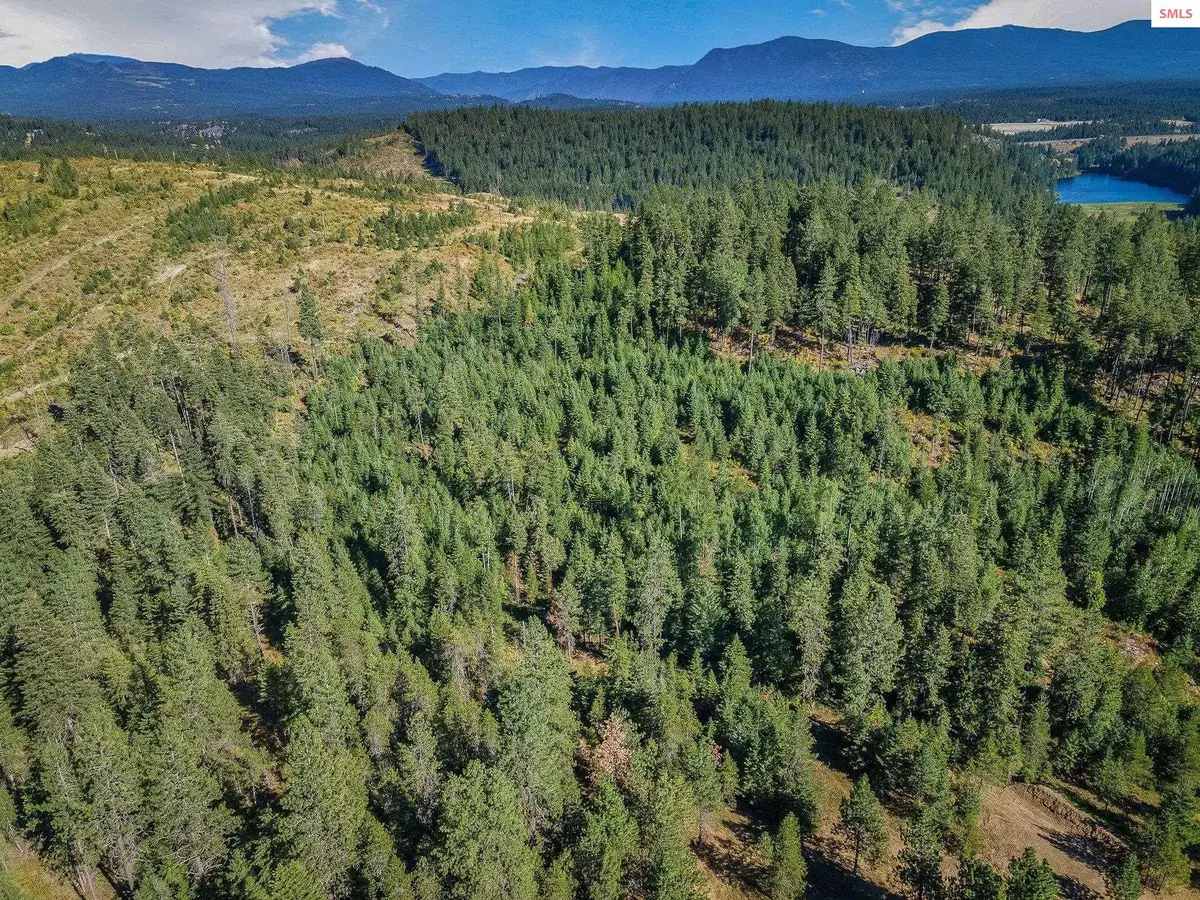 L1 Smokewood Dr, Athol, ID 83801 - Image #1