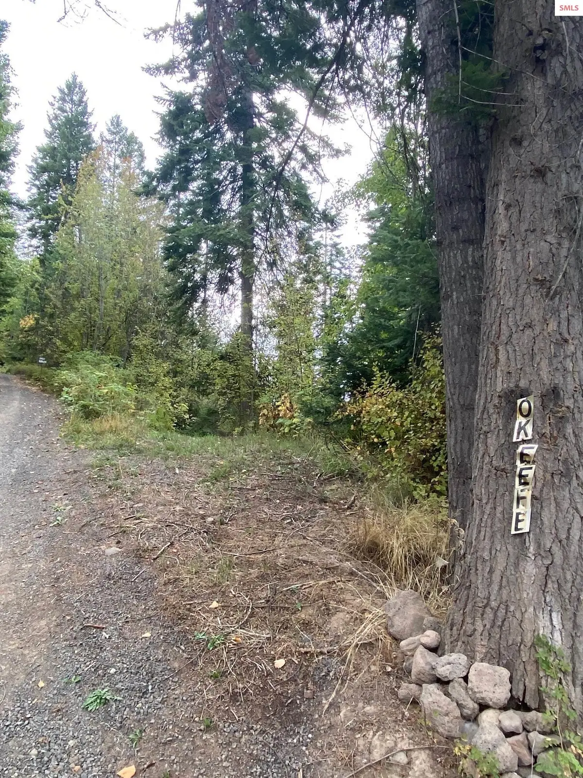 NKA Fly Catcher Lot 11,12, Saint Maries, ID 83861 - Image #1