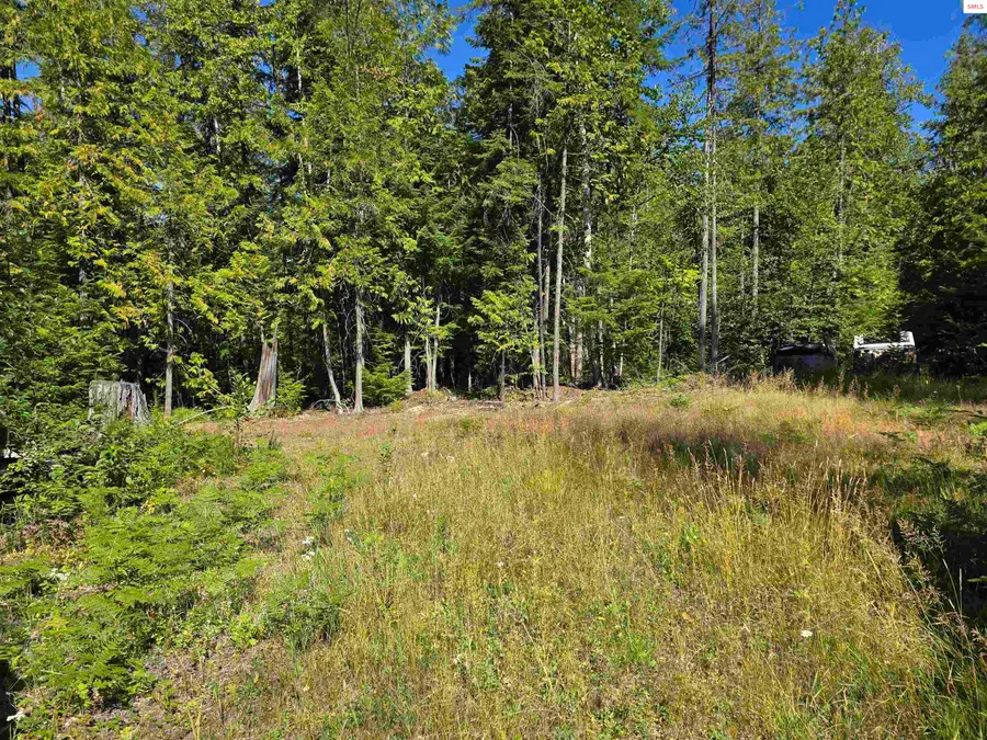 Box Canyon 5 Acres, Sandpoint, ID 83864 - Image #3