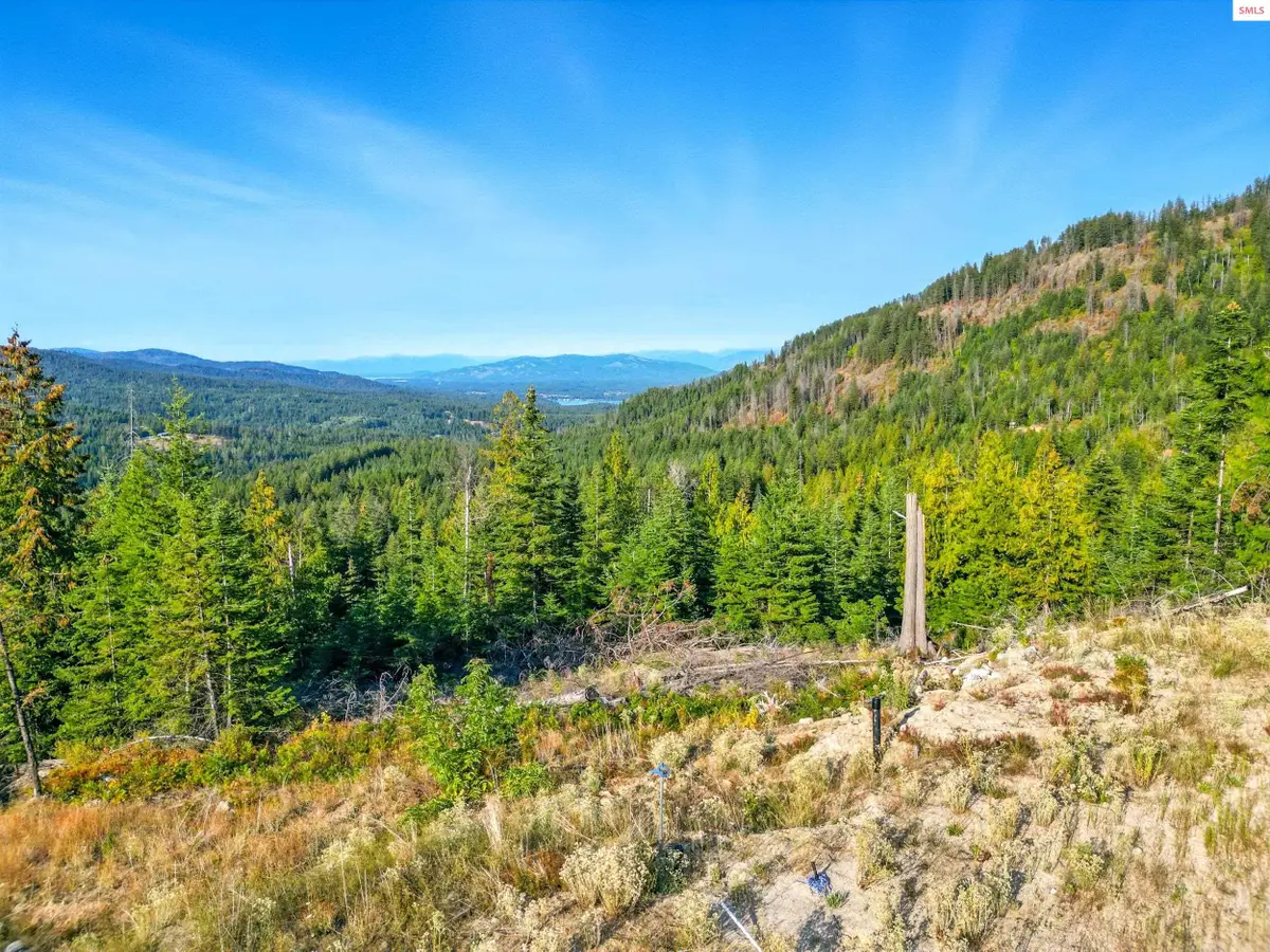 NNA Orion 20acres Dr, Cocolalla, ID 83813 - Image #1