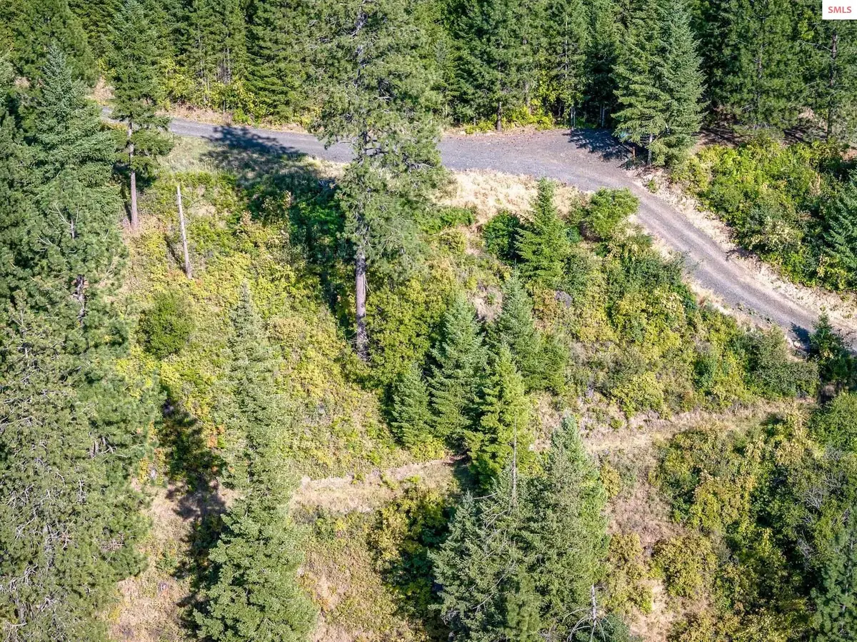 19XXX S Headlands Dr., Harrison, ID 83833 - #1