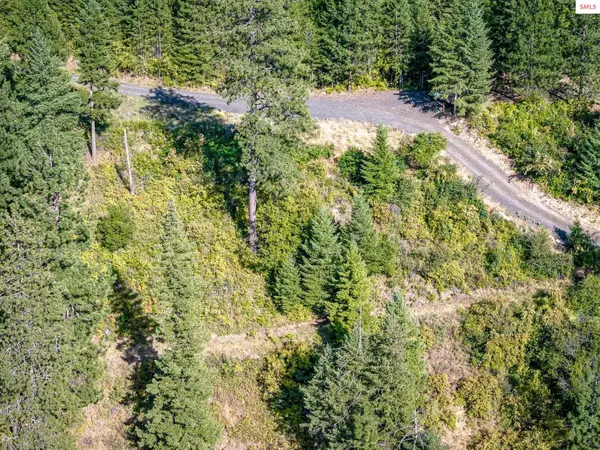 19XXX S Headlands Dr., Harrison, ID 83833