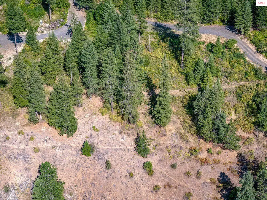 19XXX S Headlands Dr., Harrison, ID 83833 - #2