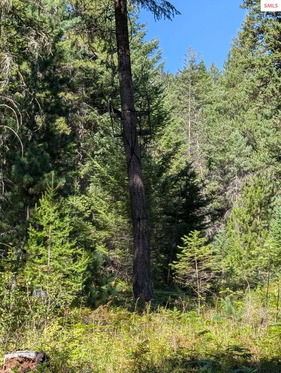 NNA 3.59 ac Deer Park Road, Bonners Ferry, ID 83805 - Image #3