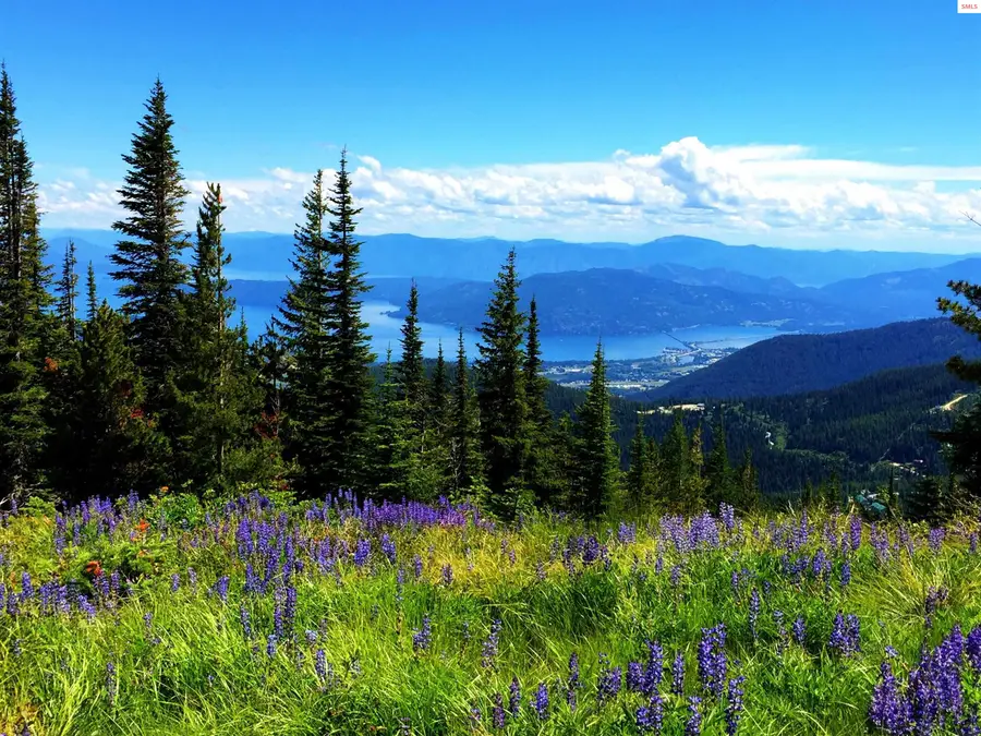 1 Crystal Springs Road, Sandpoint, ID 83864 - #3